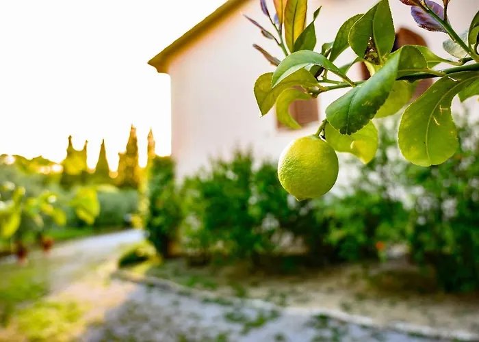 Giulia ساتورنيا