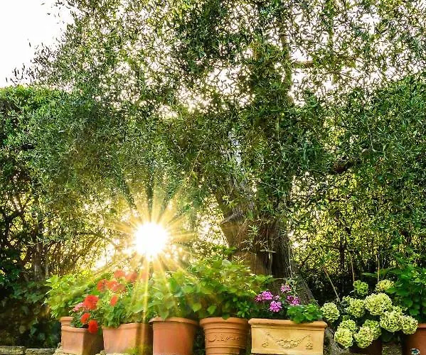 Giulia לינה וארוחת בוקר 4*